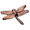Carpe Diem Oak Hollow Decorative Hardware Waterscape Dragonfly Knob